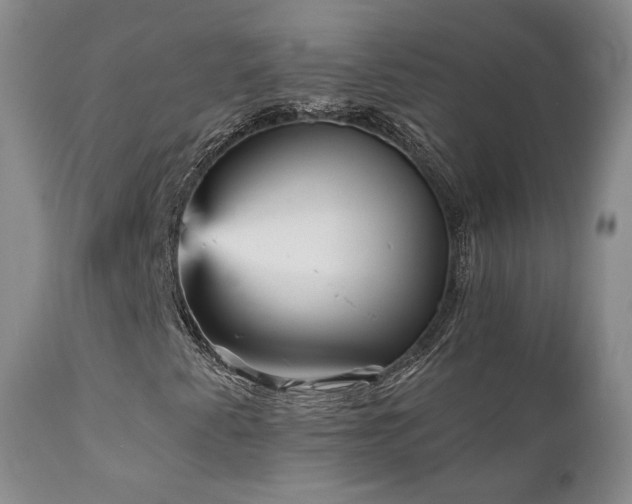 X0000111931345200907271303