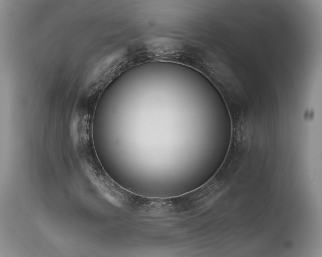 X0000111931346200907271303