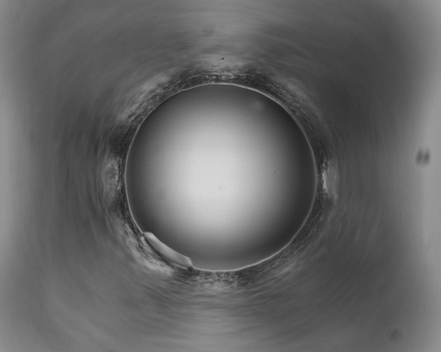 X0000111931347200907271303