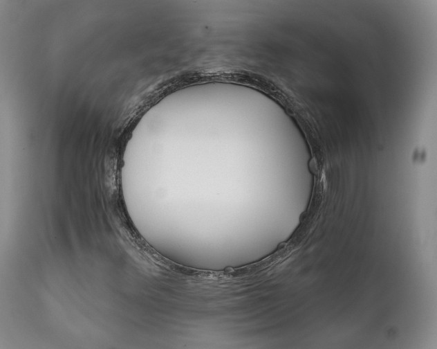 X0000111931348200907271303