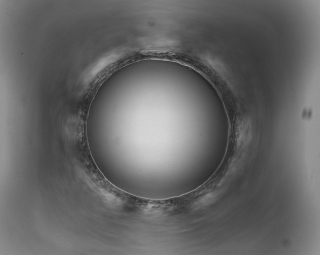 X0000111931350200907271303