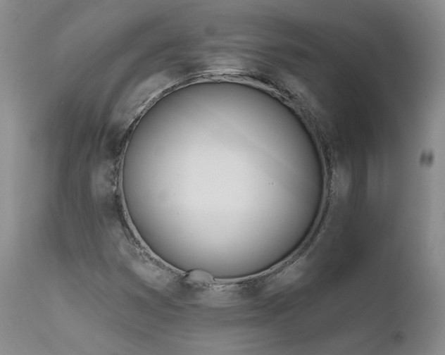 X0000111931353200907271303