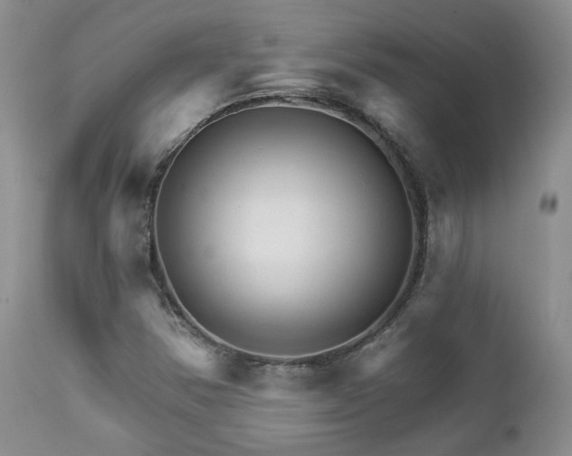 X0000111931354200907271303