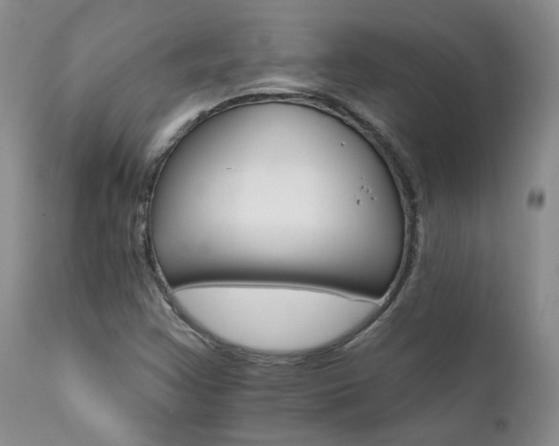 X0000111931355200907271303