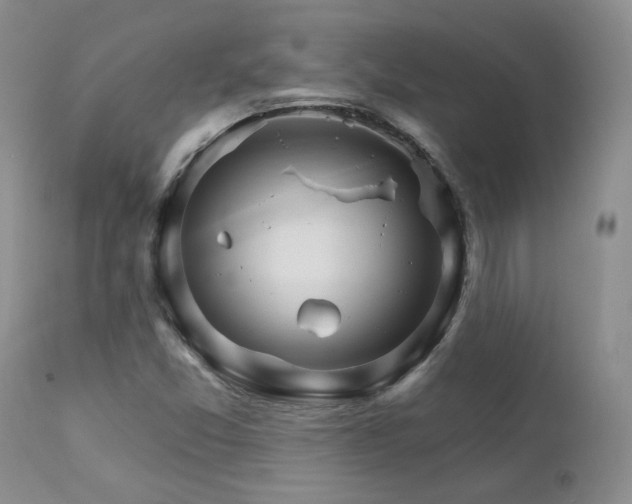 X0000111931357200907271303