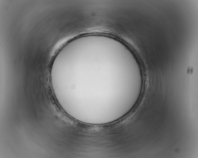 X0000111931358200907271303
