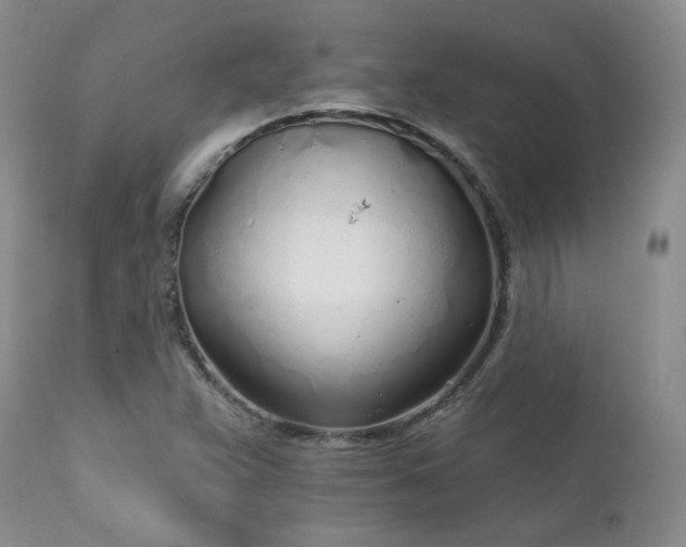 X0000111931359200907271303