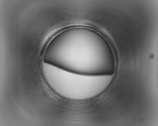 X0000111931360200907271303