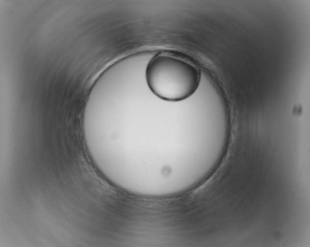 X0000111931361200907271303