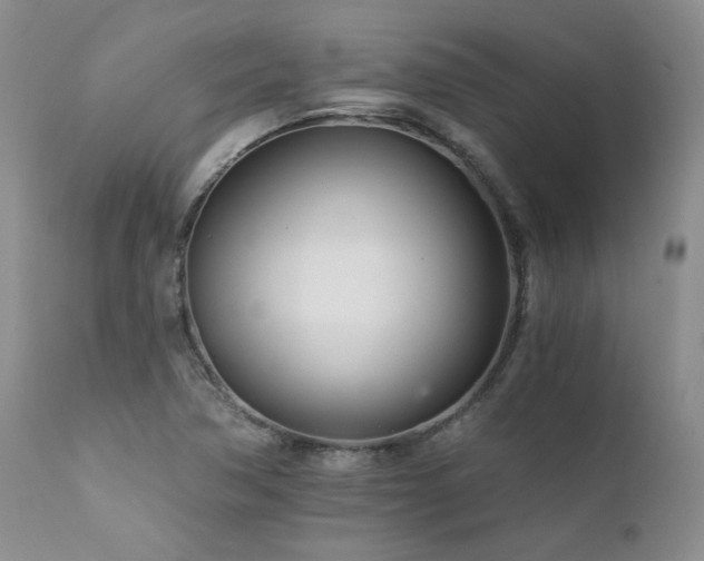 X0000111931362200907271303