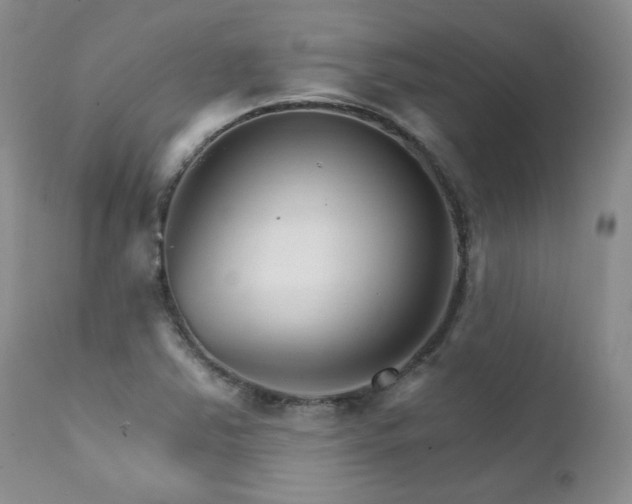 X0000111931363200907271303