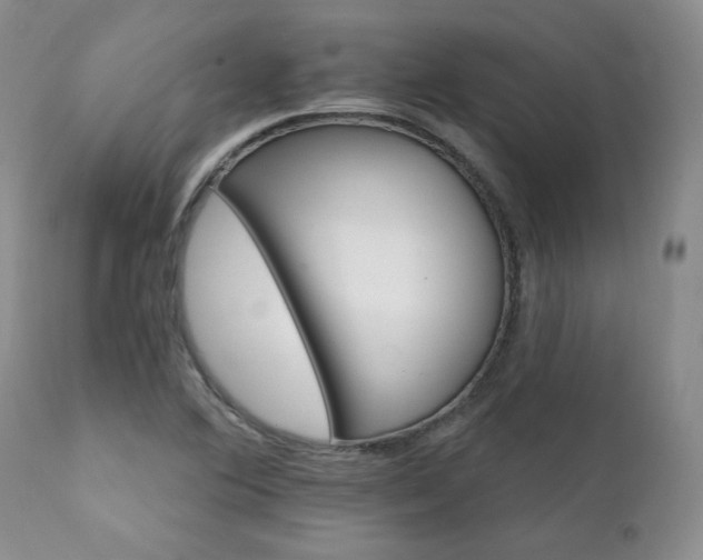 X0000111931364200907271303