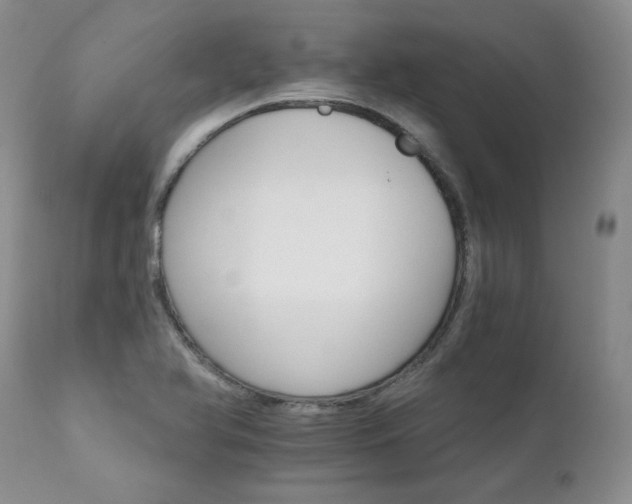 X0000111931366200907271303