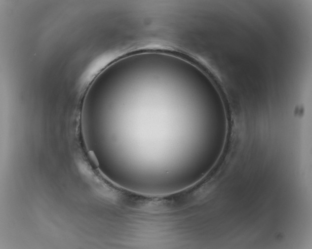 X0000111931367200907271303