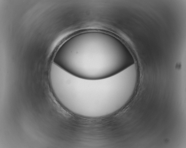 X0000111931368200907271303