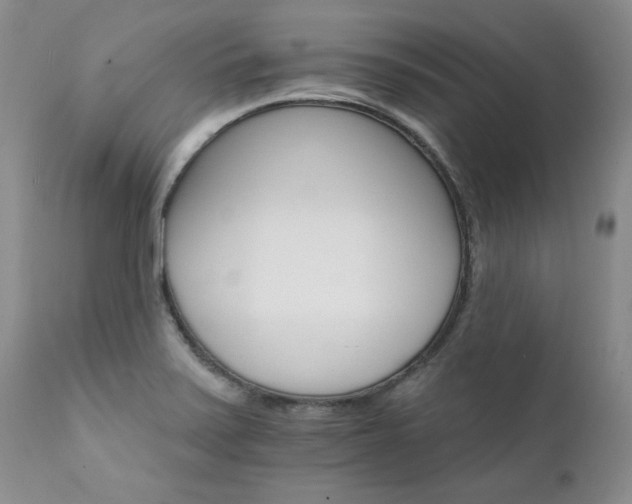 X0000111931371200907271303