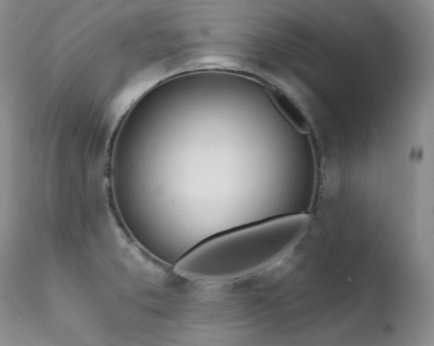 X0000111931373200907271303
