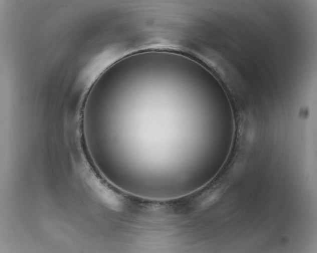 X0000111931375200907271303