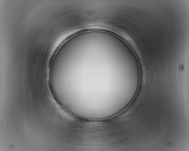 X0000111931376200907271303