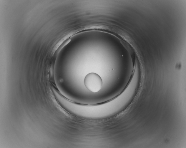 X0000111931377200907271303