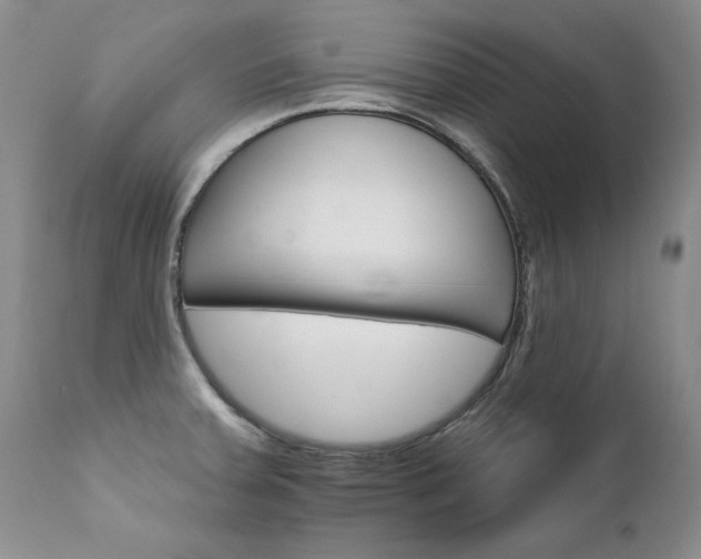 X0000111931379200907271303