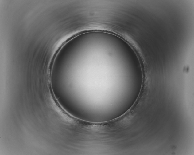 X0000111931380200907271303