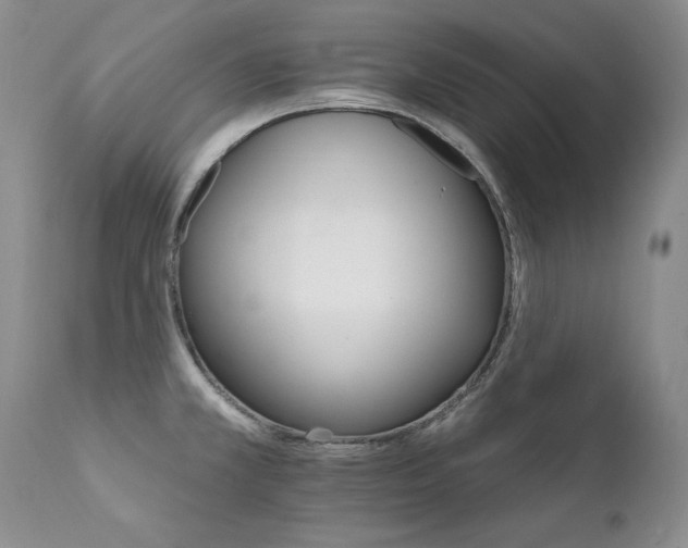 X0000111931381200907271303