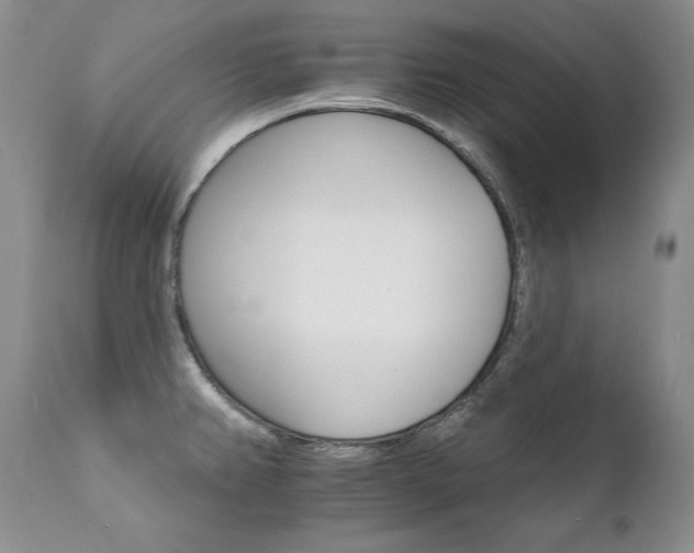 X0000111931382200907271303