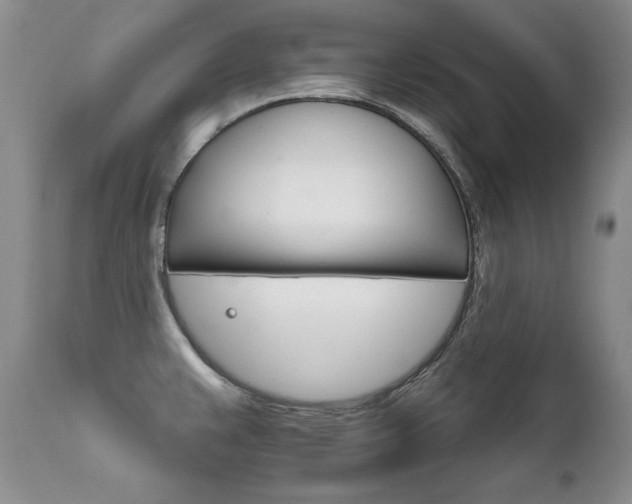 X0000111931383200907271303