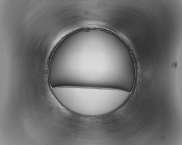 X0000111931384200907271303