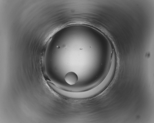 X0000111931385200907271303