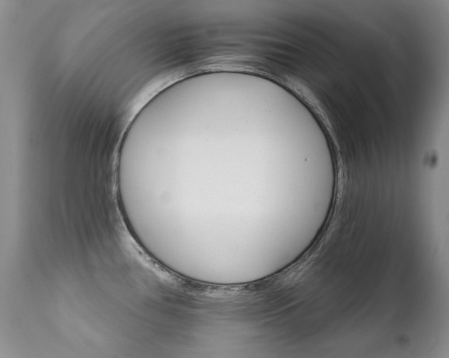 X0000111931386200907271303