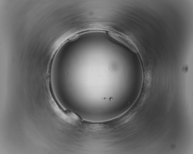 X0000111931387200907271303