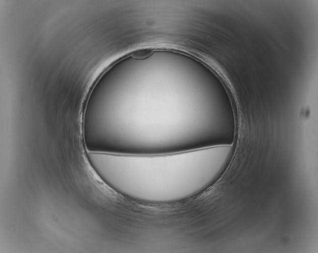 X0000111931388200907271303