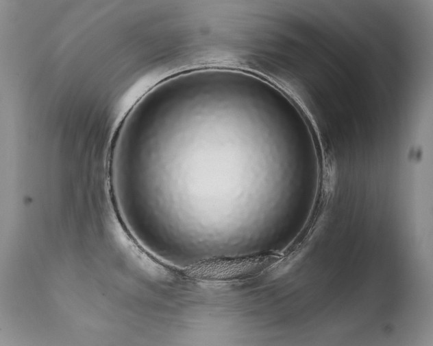 X0000111931389200907271303