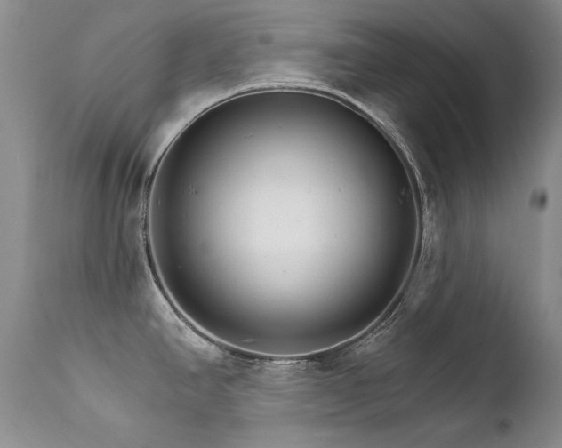 X0000111931390200907271303