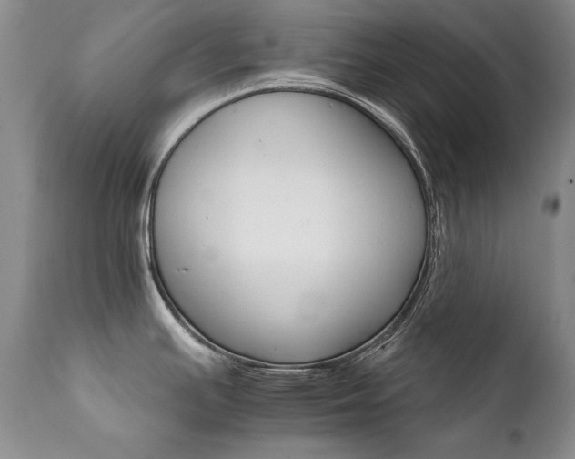 X0000111931391200907271303