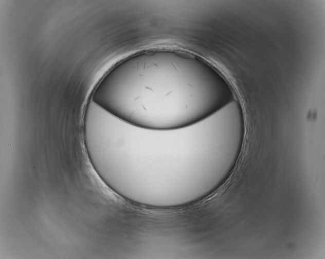 X0000111931392200907271303
