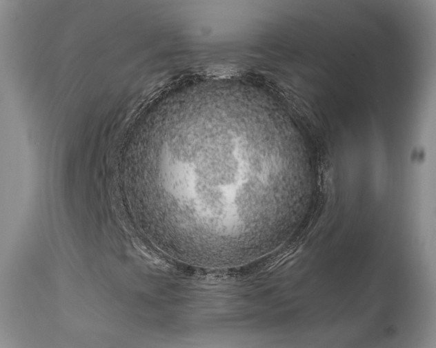 X0000111931393200907271302