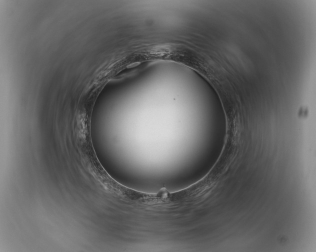 X0000111931394200907271302