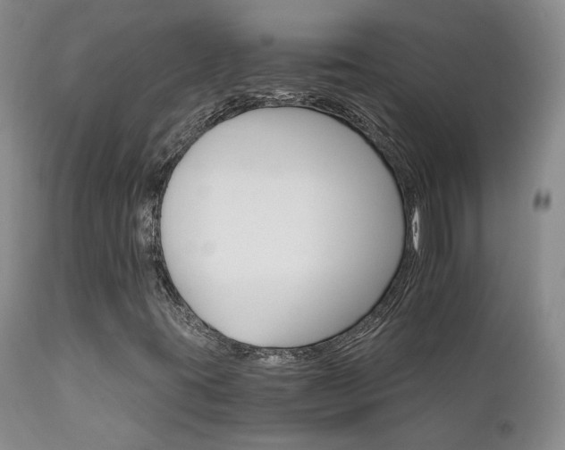 X0000111931395200907271302