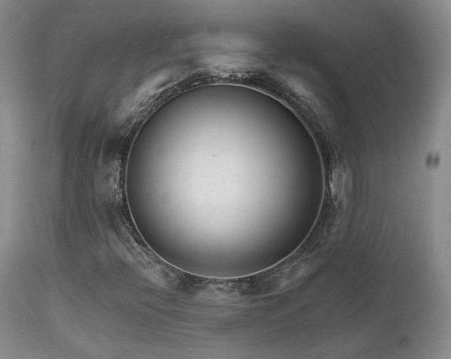 X0000111931396200907271302