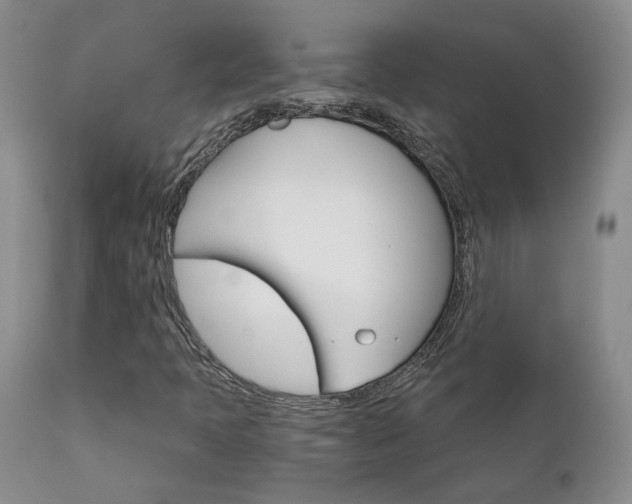 X0000111931397200907271302