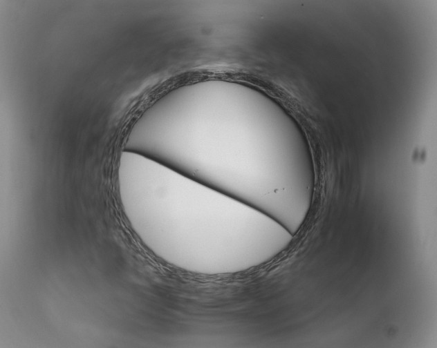 X0000111931398200907271302