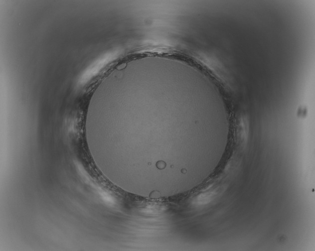 X0000111931399200907271302