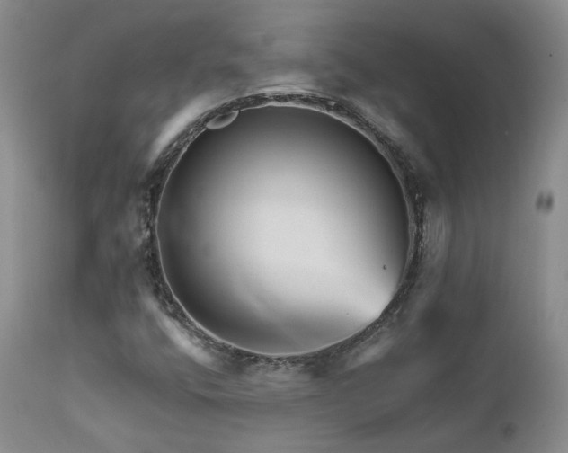 X0000111931400200907271302