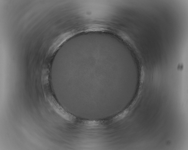 X0000111931401200907271302