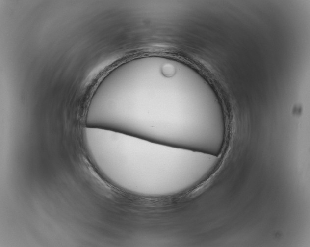 X0000111931402200907271302