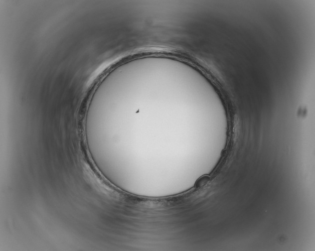 X0000111931404200907271302