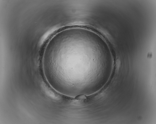 X0000111931406200907271302